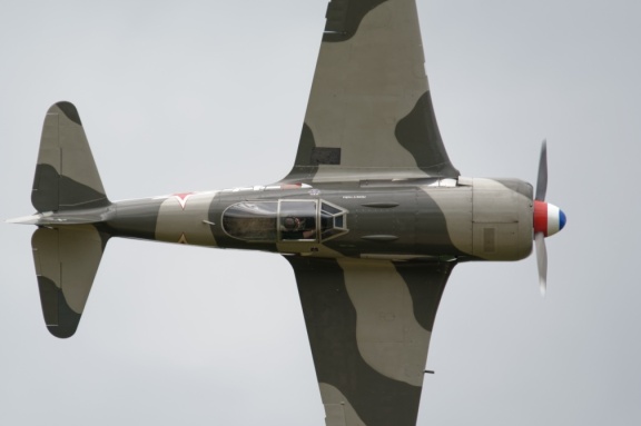 Yak 11
