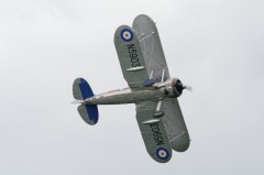 Gloster Gladiator