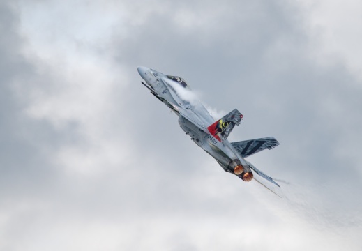 Hornet Solo Display F/A-18 Swiss