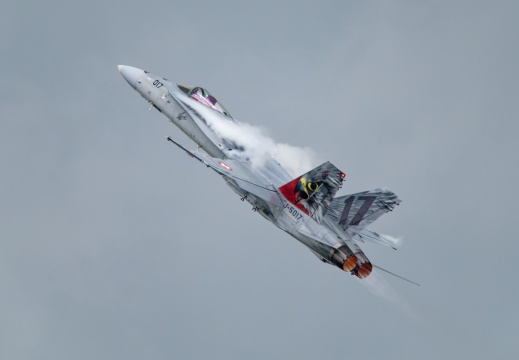 Hornet Solo Display F/A-18 Swiss