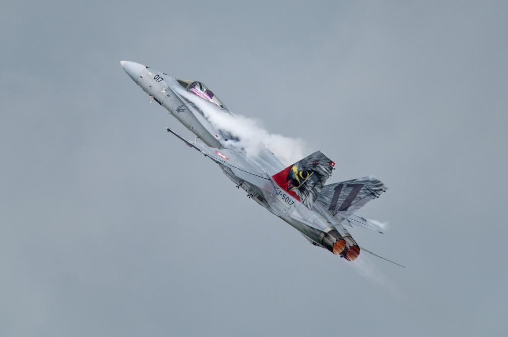 Hornet Solo Display F/A-18 Swiss