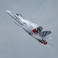 Hornet Solo Display F/A-18 Swiss