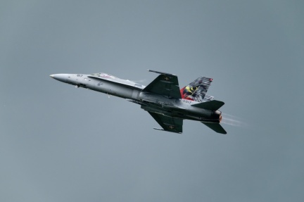 Hornet Solo Display F/A-18 Swiss