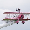 Wingwalker